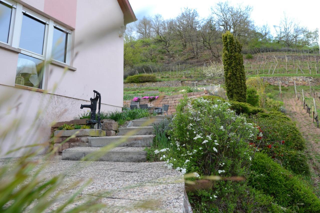 Niedermorschwihr Les Glycines Du Sommerberg מראה חיצוני תמונה
