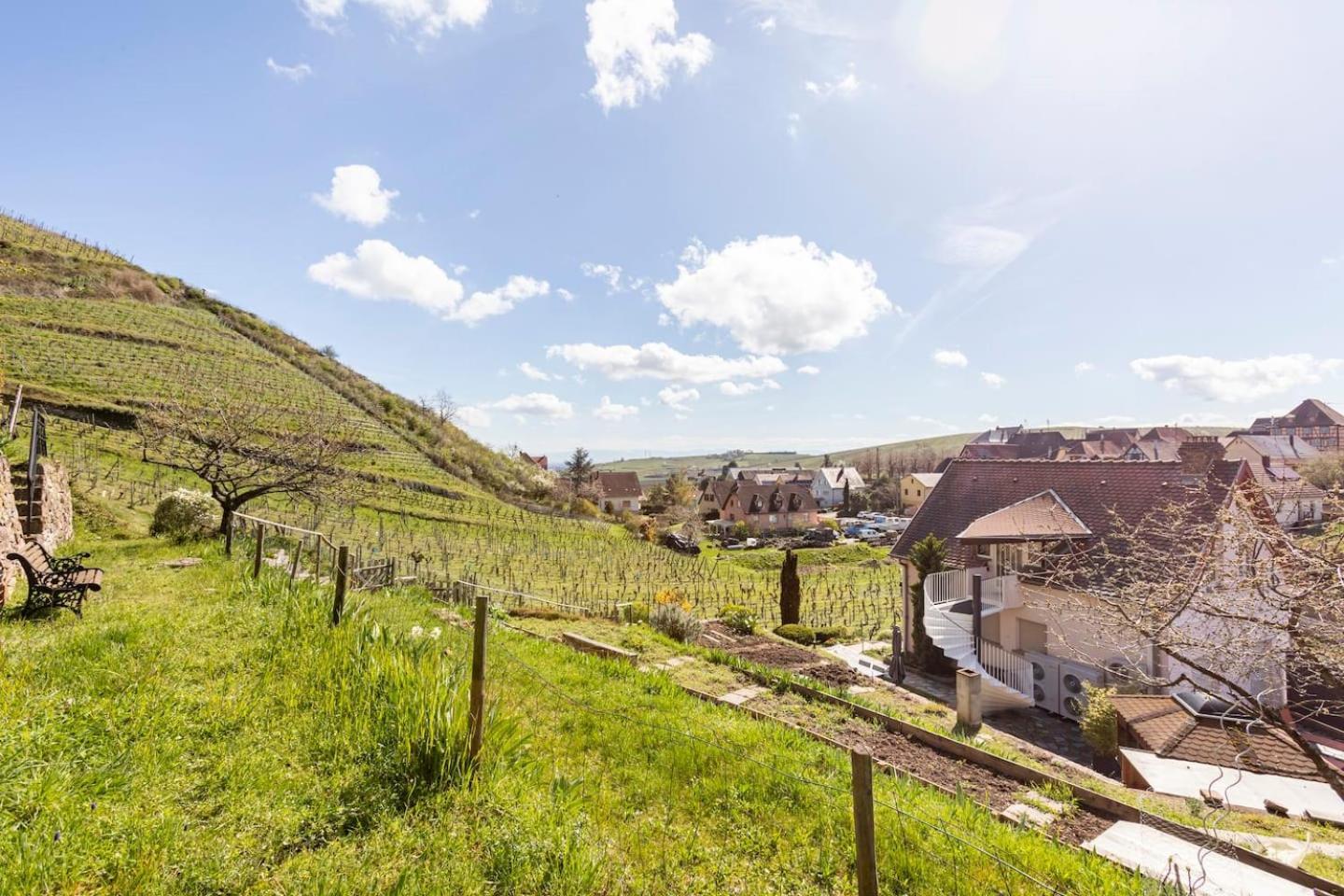 Niedermorschwihr Les Glycines Du Sommerberg מראה חיצוני תמונה